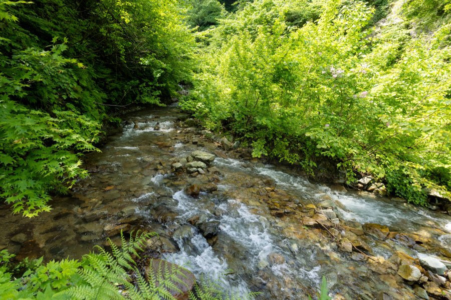由谷石(よしたんいし) 採石場 富山県朝日町大平 糸魚川市 デイサイト Dacite 安山岩